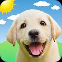 Weather Puppy - App & Widget