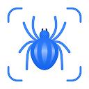 Picture Insect: Bug Identifier